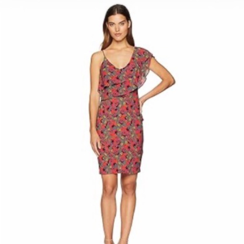 Bebe Sherry Ruffle Sheath Dress Pink Grey Floral Asymmetrical V-Neck Size 12